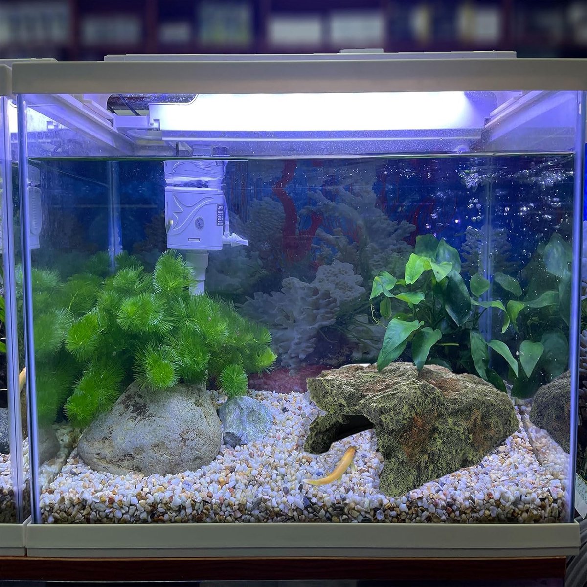 Reptielen Grot - Amfibieën Verblijf - Terrarium Decoratie - Gesimuleerd Rotsontwerp - 198 x 15 x 79 cm - Grijs