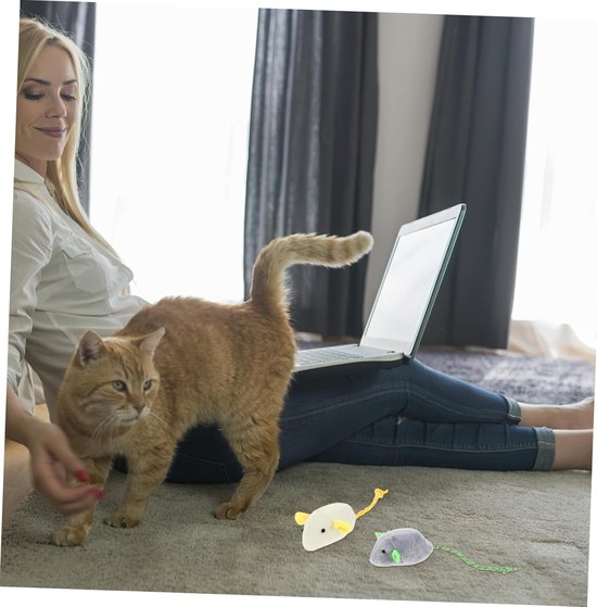 Kattenspeelgoed dat beweegt - De 15 beste producten vergeleken