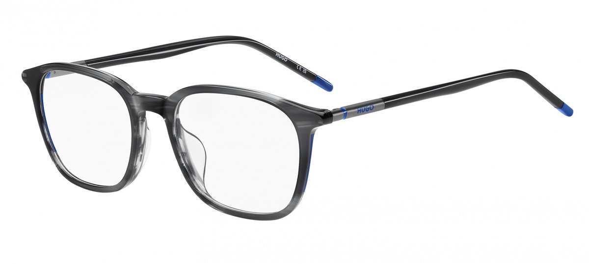 Brillen met correctie Hugo Boss HG 1353/G 2W8