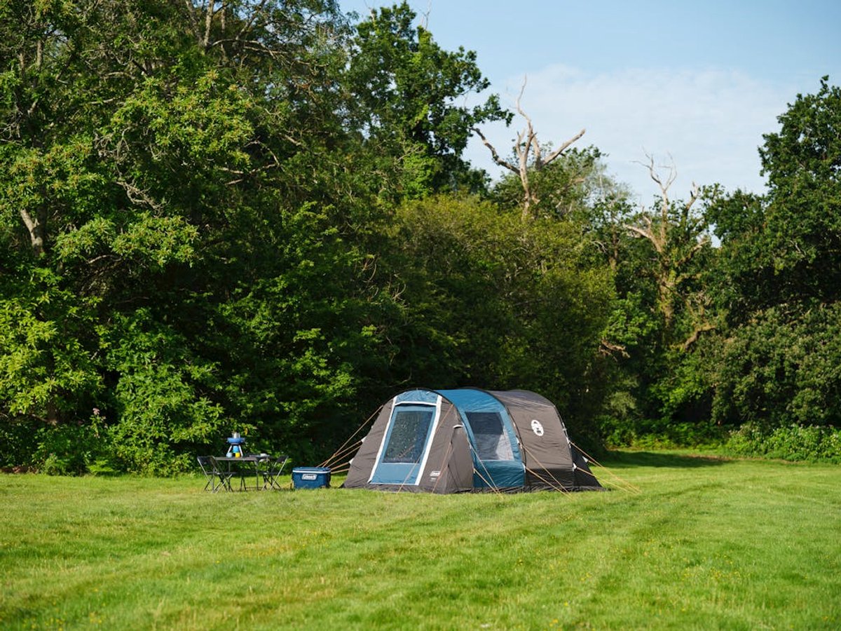 Coleman Vespucci 6 Tent - 6 Persoons tunneltent – UV Guard SPF50 zonbescherming – Ventilatie – Geïntegreerd grondzeil - Grijs/blauw – foto 4