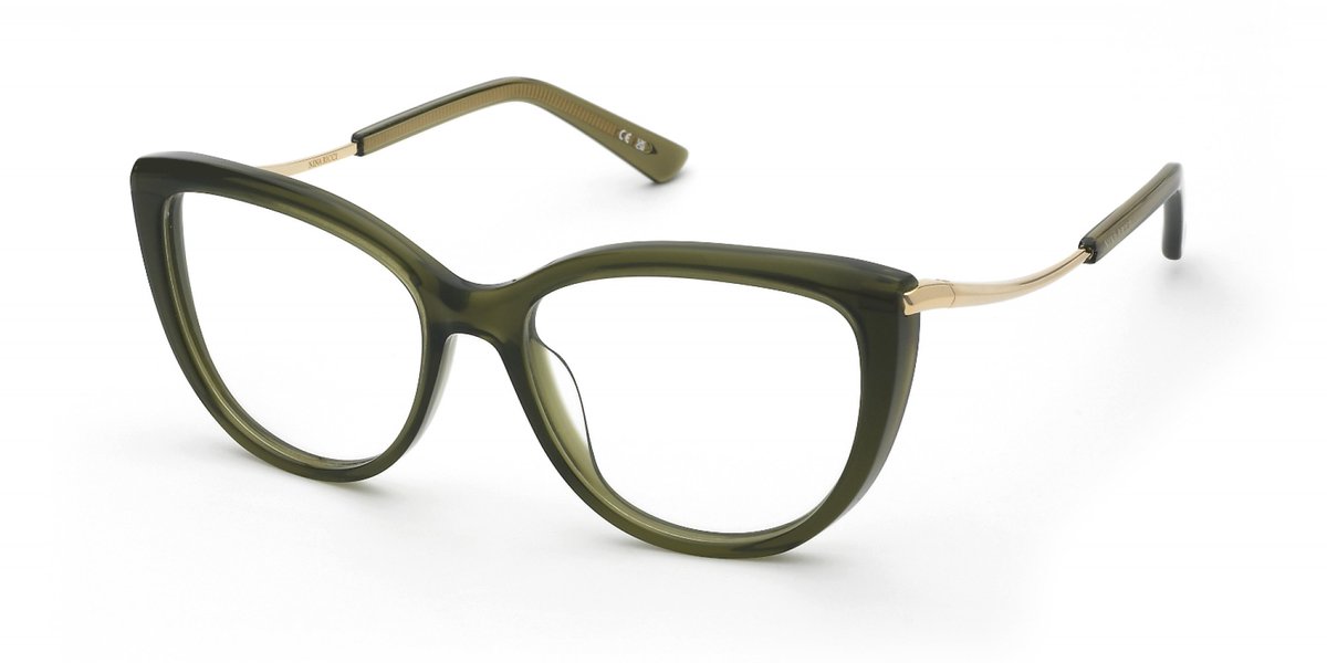 Nina Ricci VNR412 Verde trasparente 53/16/140 WOMAN Brilmonturen