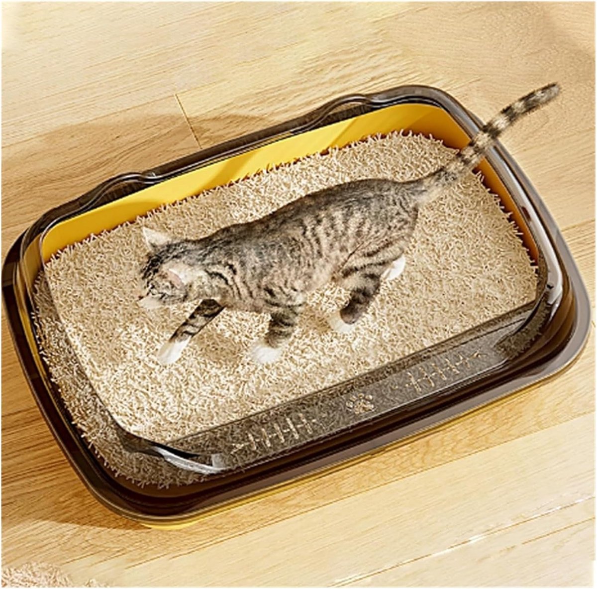Open Kattenbak - Kattentoilet - Binnen Gebruik - Anti-spat Rand - 38 x 30 x 16 cm - Geel