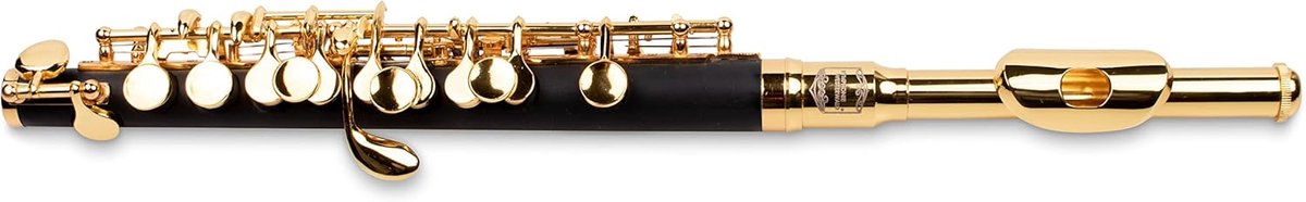 Piccolo Fluit - Kleine Dwarsfluit - Muziek Maken - Massief Goudgeplateerd - 24.8 cm - Goud