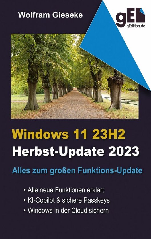 Windows 11 23H2 - cover