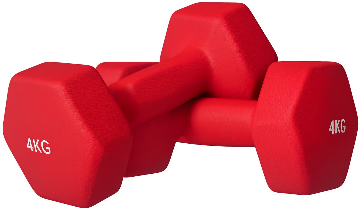 SPORTNOW Rubberen Halter - Metaal - 19x9x9cm - Rood