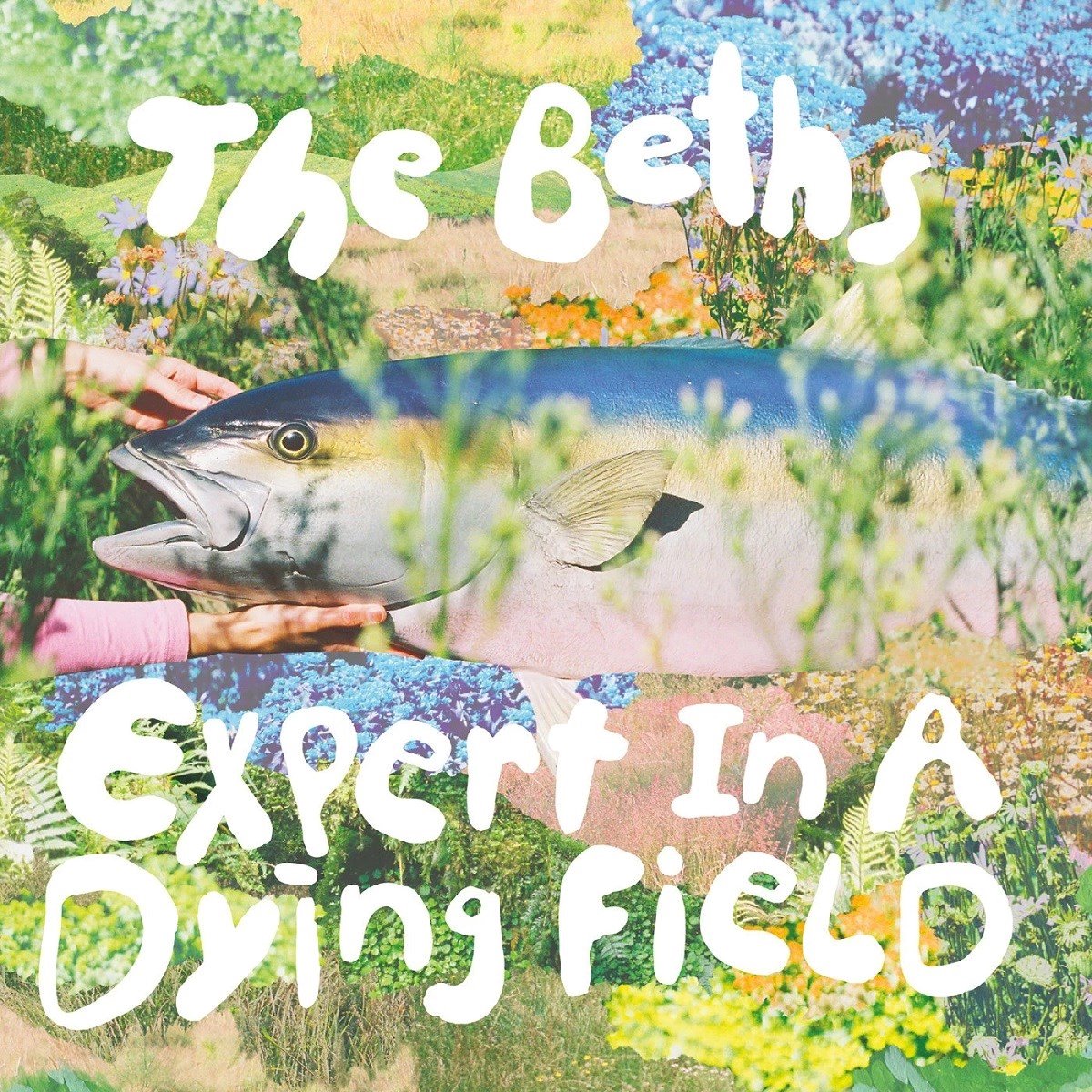 The Beths - Expert In A Dying Field (LP) (Coloured Vinyl)