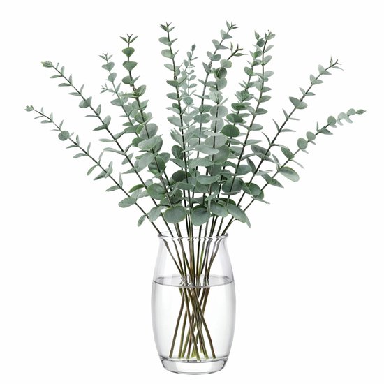 BukkitBow - Set Kunst Eucalyptus Takken - Kunstplant Decoratie Takken - Woondecoratie - 15 Takken