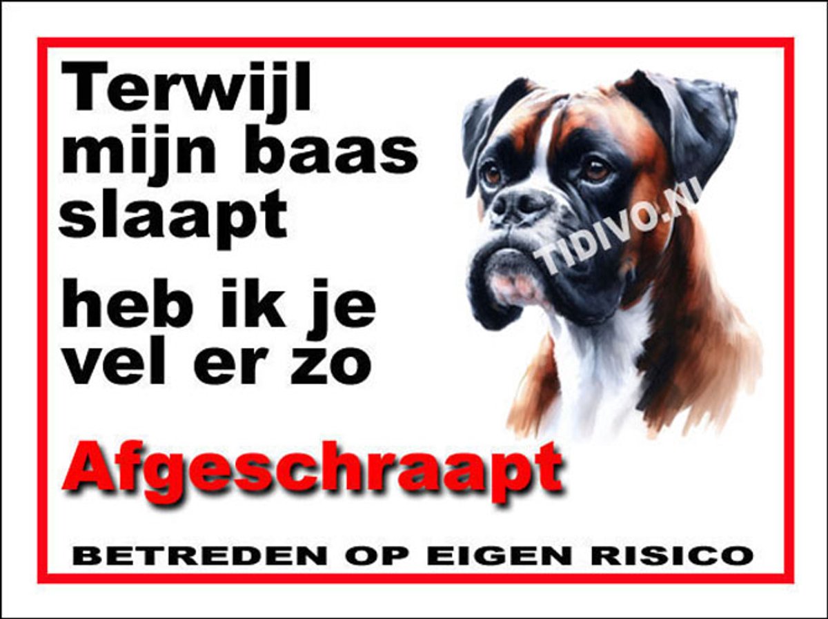 Boxer 15