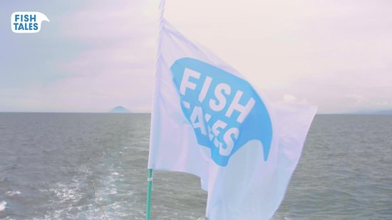Fish Tales - Tonijn - 12 pack - Extra Vierge Olijfolie - Hengel en Lijn - Fairtrade - MSC
