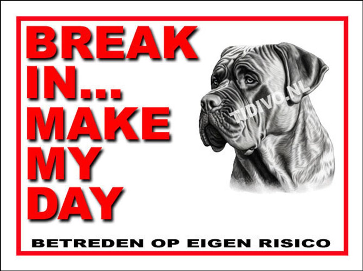 Boerboel 1
