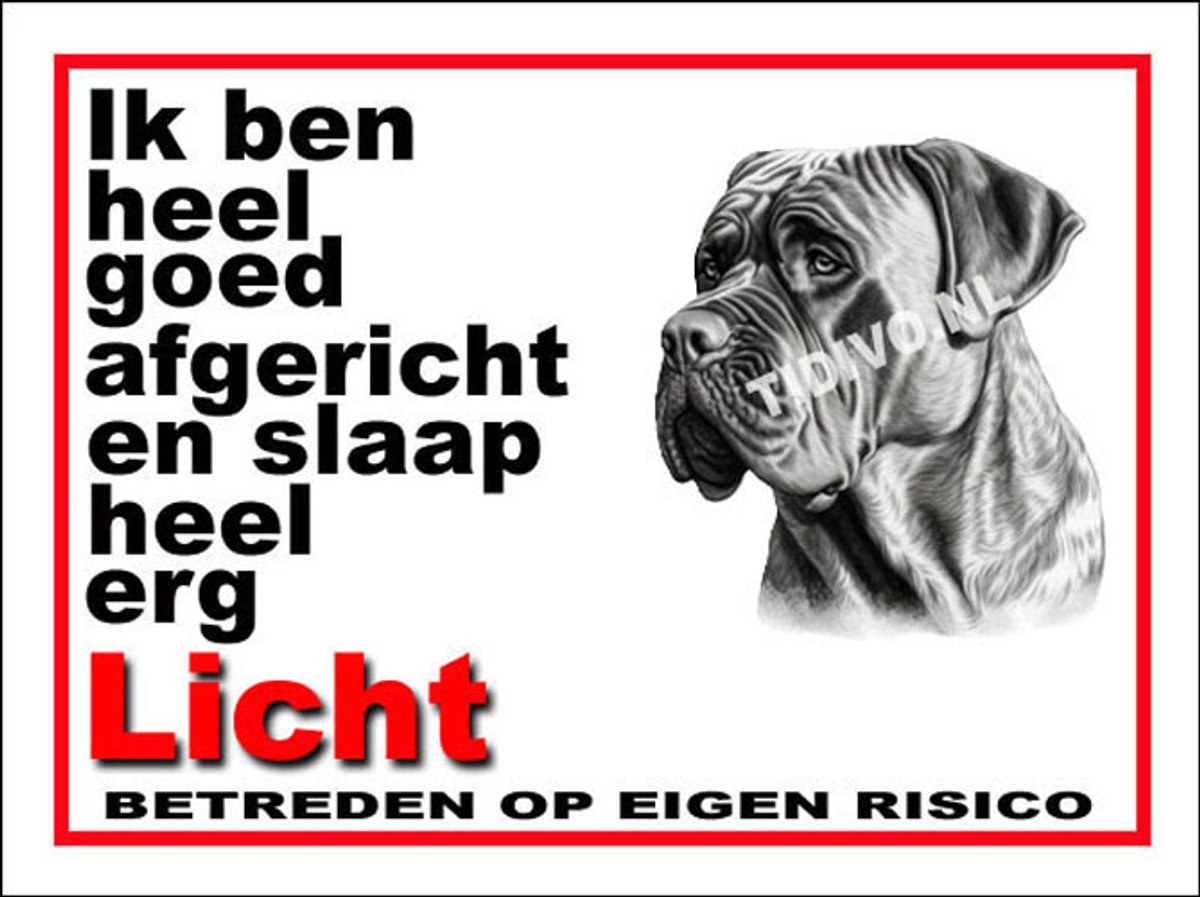 Boerboel 4