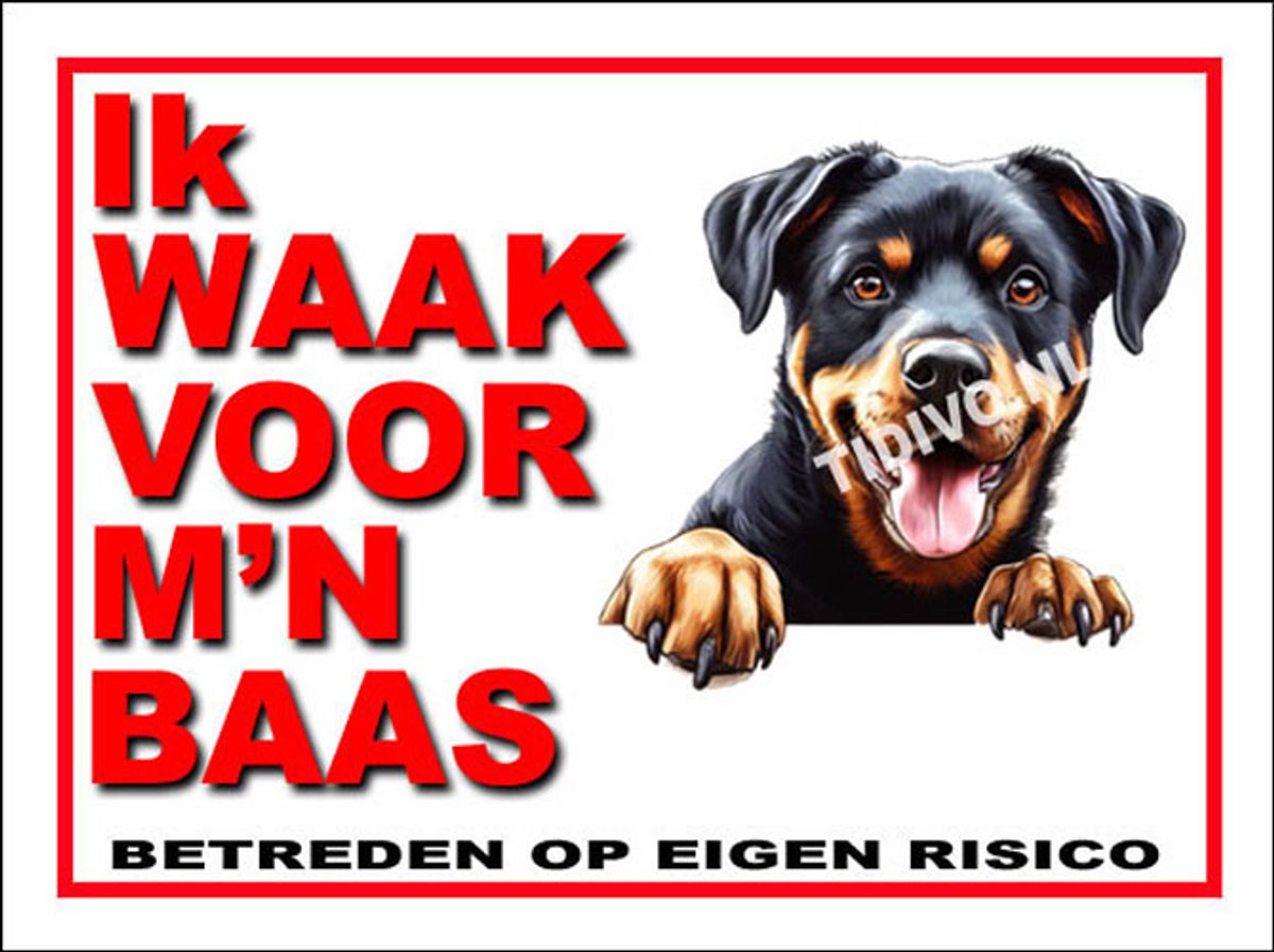 Beauceron 8