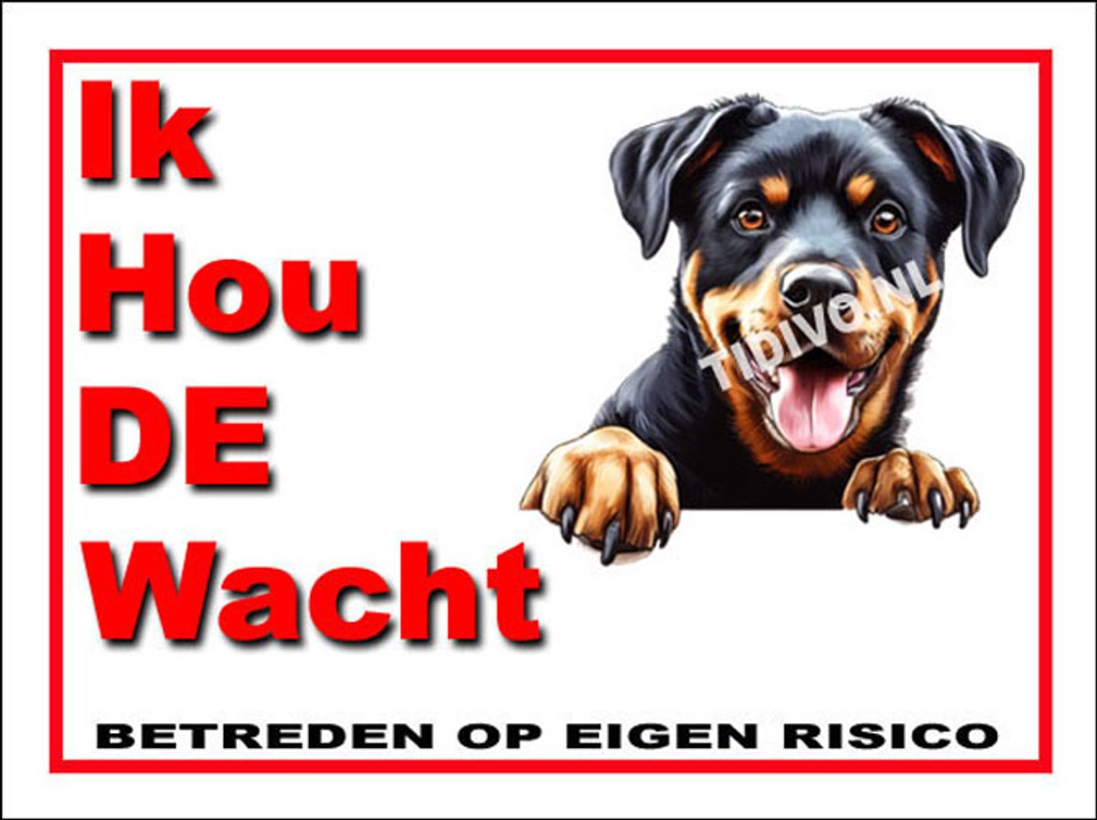 Beauceron 6