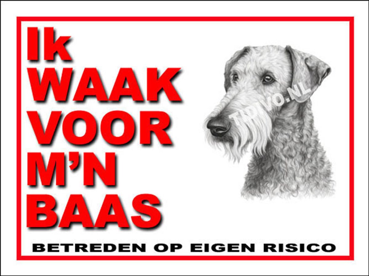 Bedlington Terrier 9