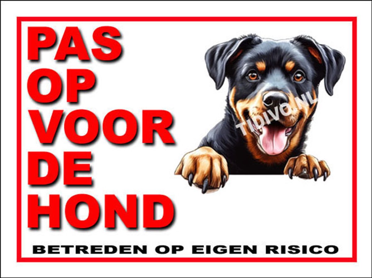 Beauceron 13