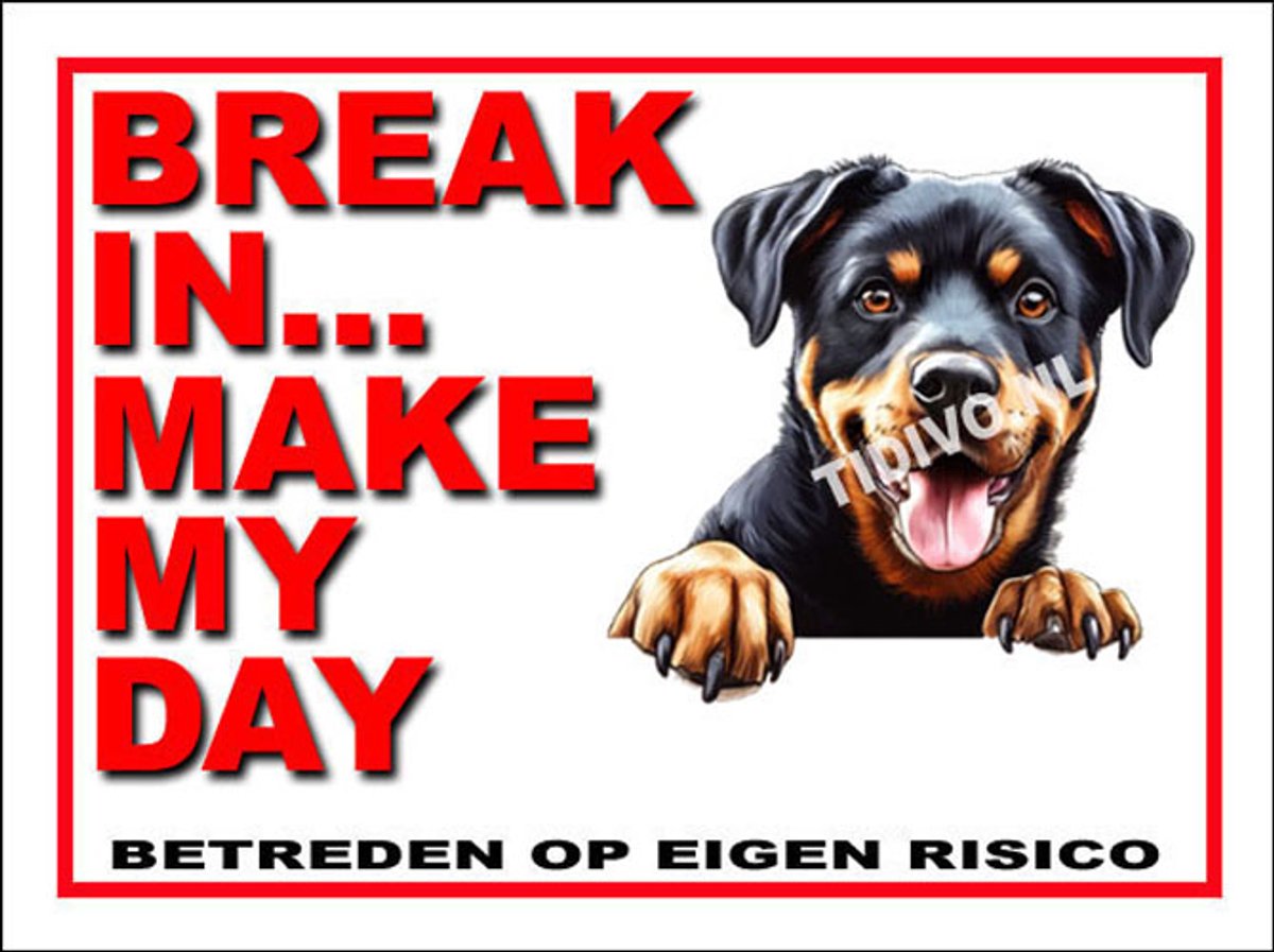 Beauceron 1