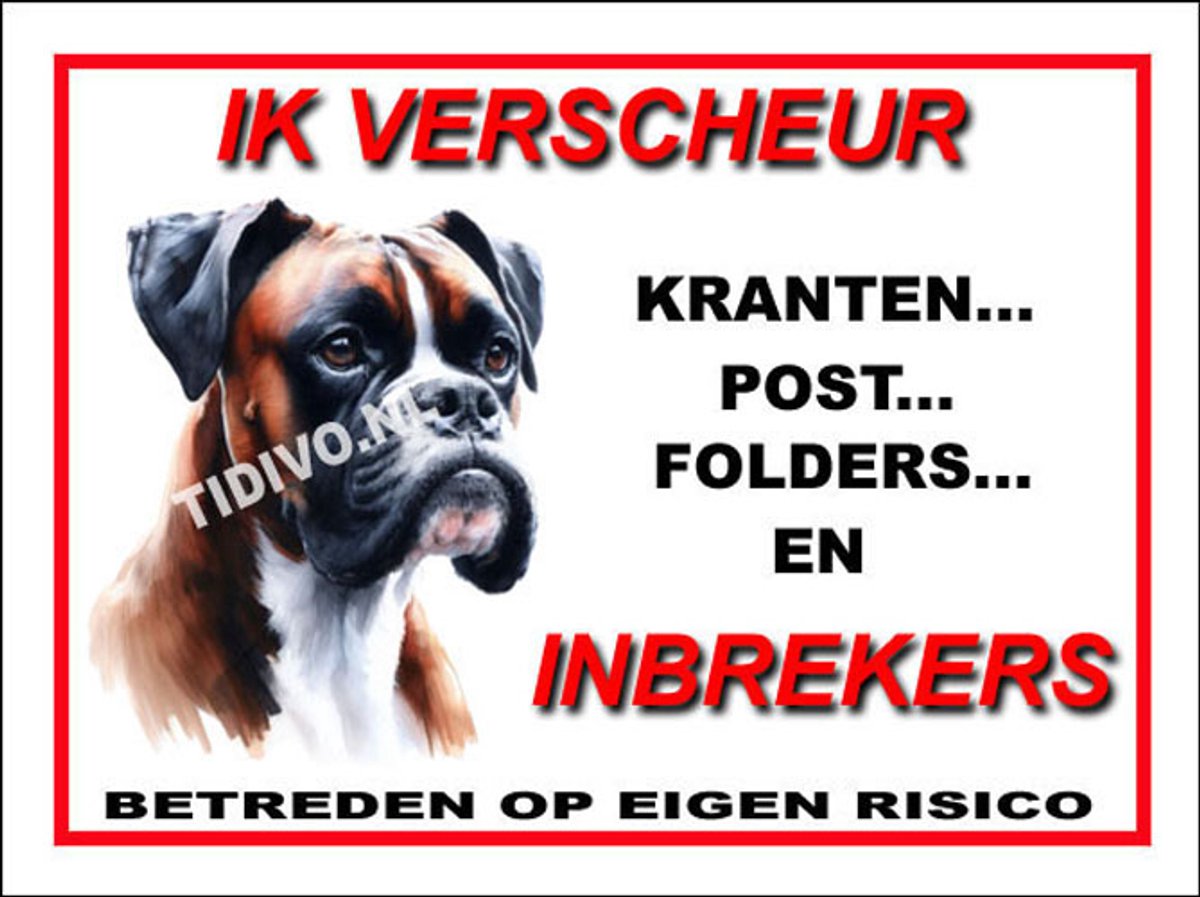 Boxer 8
