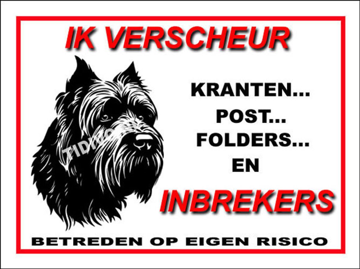 Bouvier 8