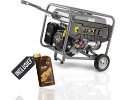 Kärcher PGG3/1 Generator - Aggregaat - 3000W - 4Takt Benzine Stroomgenerator - OHV Motor - Elektrische en Handmatige Start - Solide Palletlevering - incl Olie