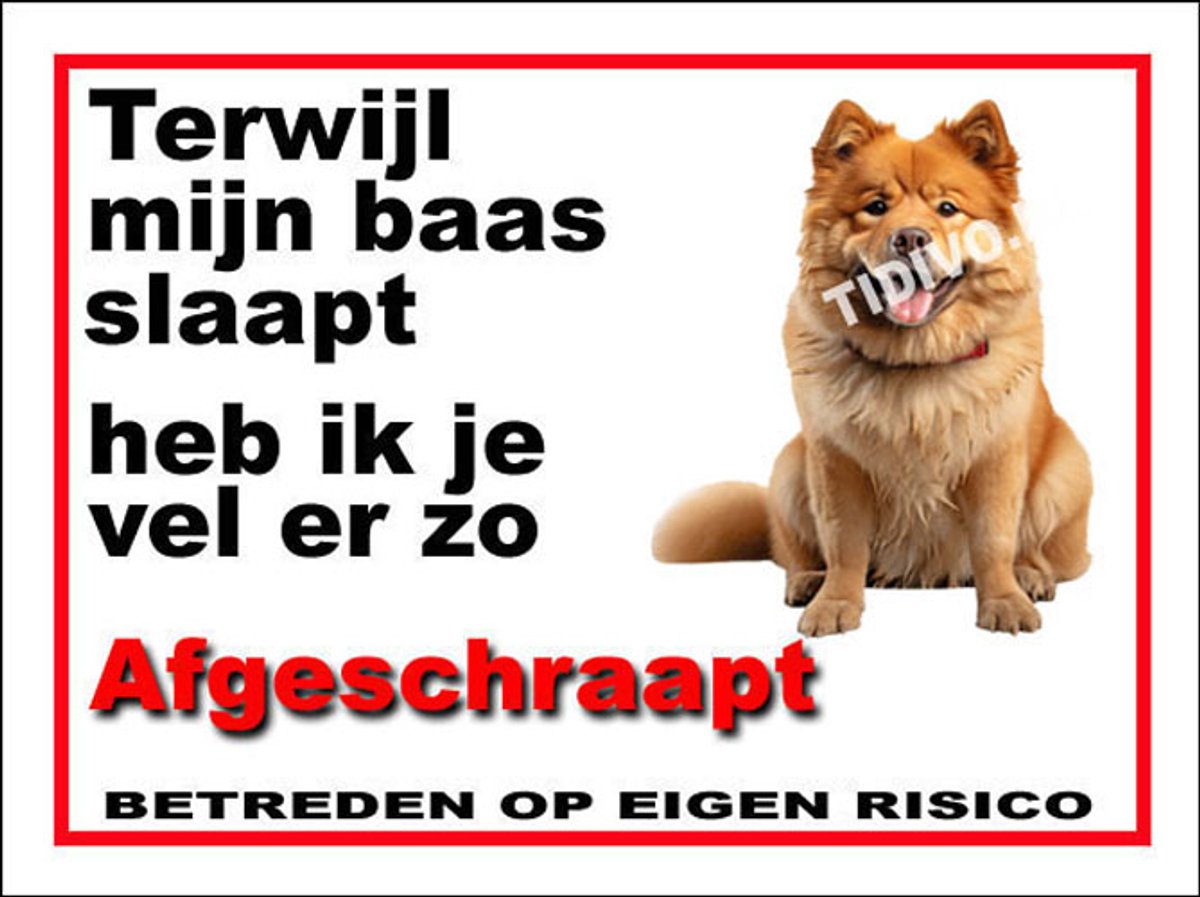 Chow Chow 15