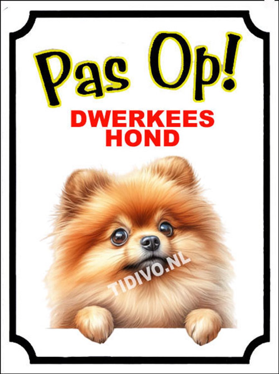 Dwergkeeshond 16