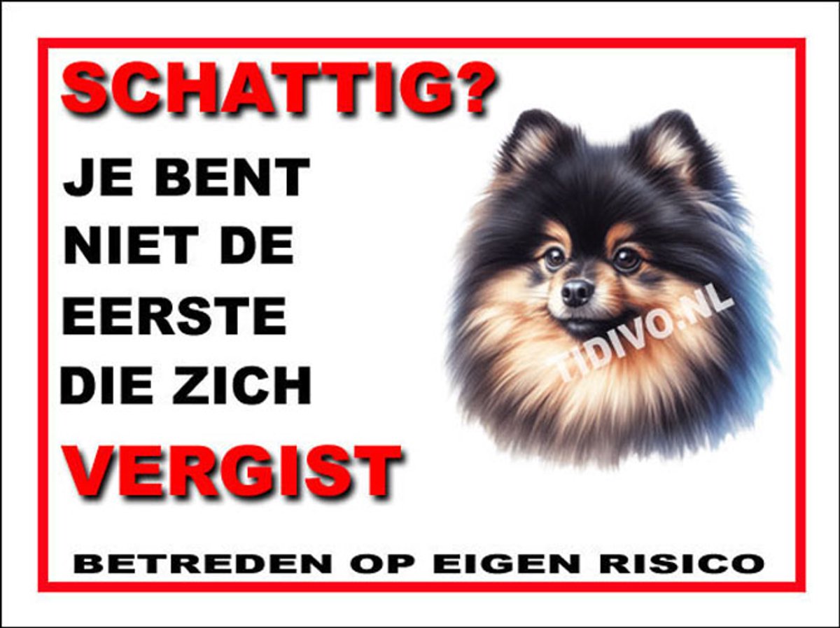 Dwergkeeshond 14