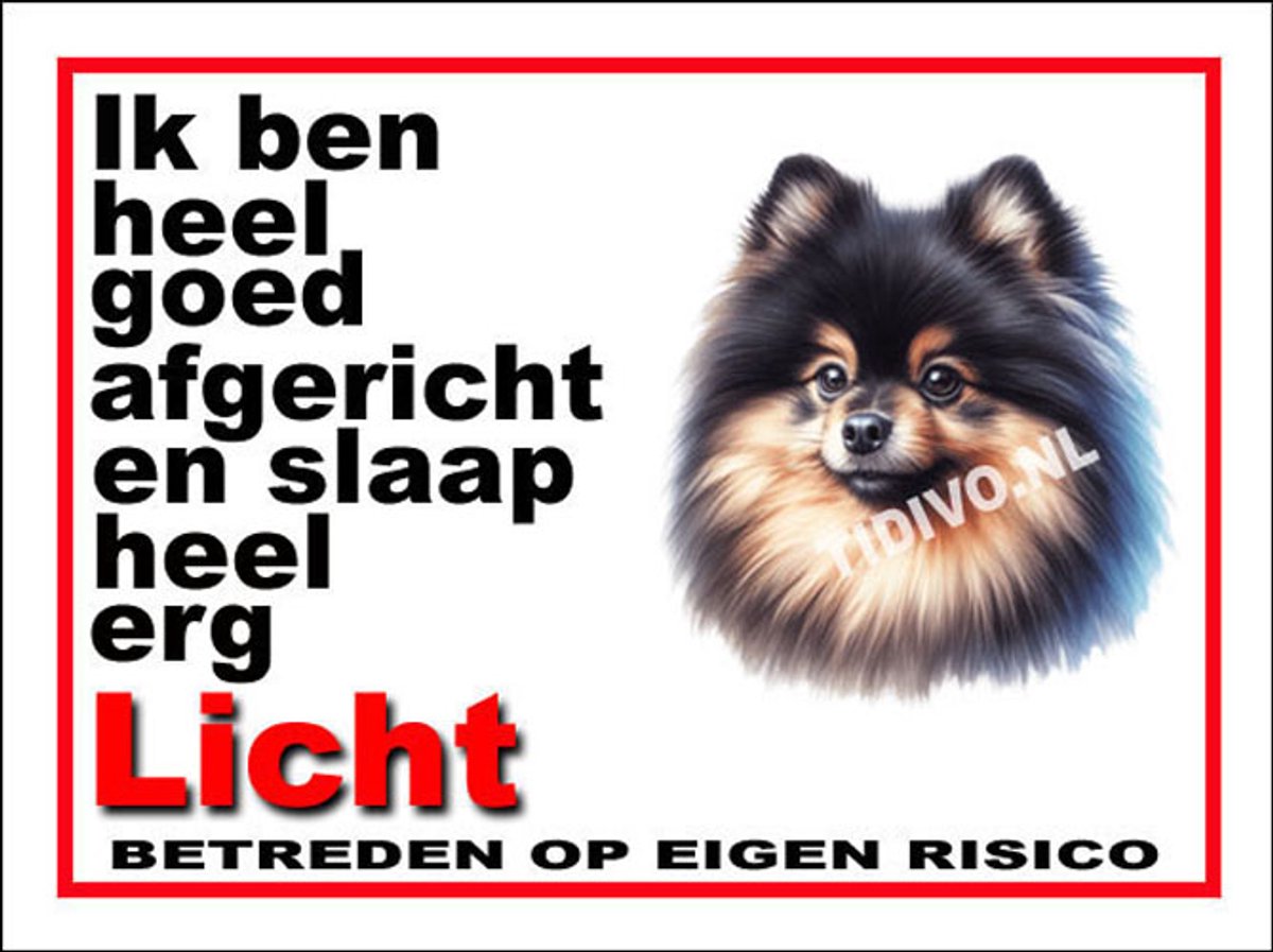 Dwergkeeshond 4