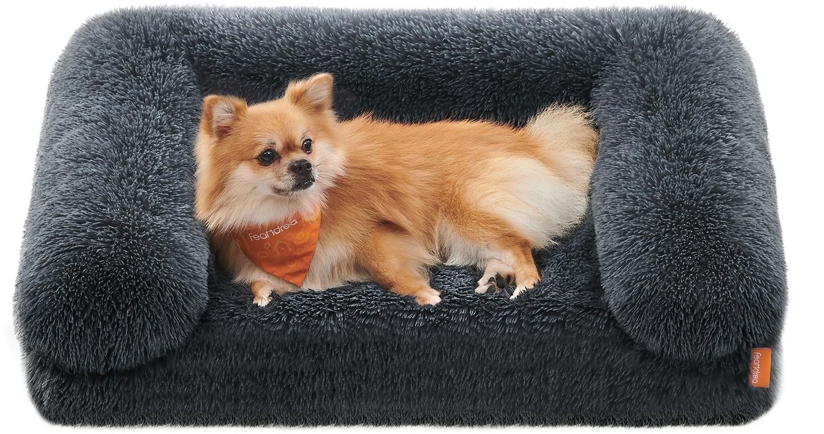 Feandrea FluffyHug Hondenbed, Hondenkussen Maat M, Hondenmat voor Miniatuurhonden, Kleine Honden, Hondensofa met Noppenschuim, Afneembare en Wasbare Hoes, 76 x 58 x 19 cm, Donkergrijs PGW231G02V1