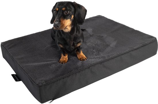 MyBestBuddy Premium Orthopedisch Hondenkussen met 8 cm Massieve Schuimkern, Grijs, 70×50 cm M, Hondenmat met Stoffen Hoes, Wasbaar op 40°C, Allergievriendelijk – Hondenbed voor Kleine Honden, 70 x 50 cm