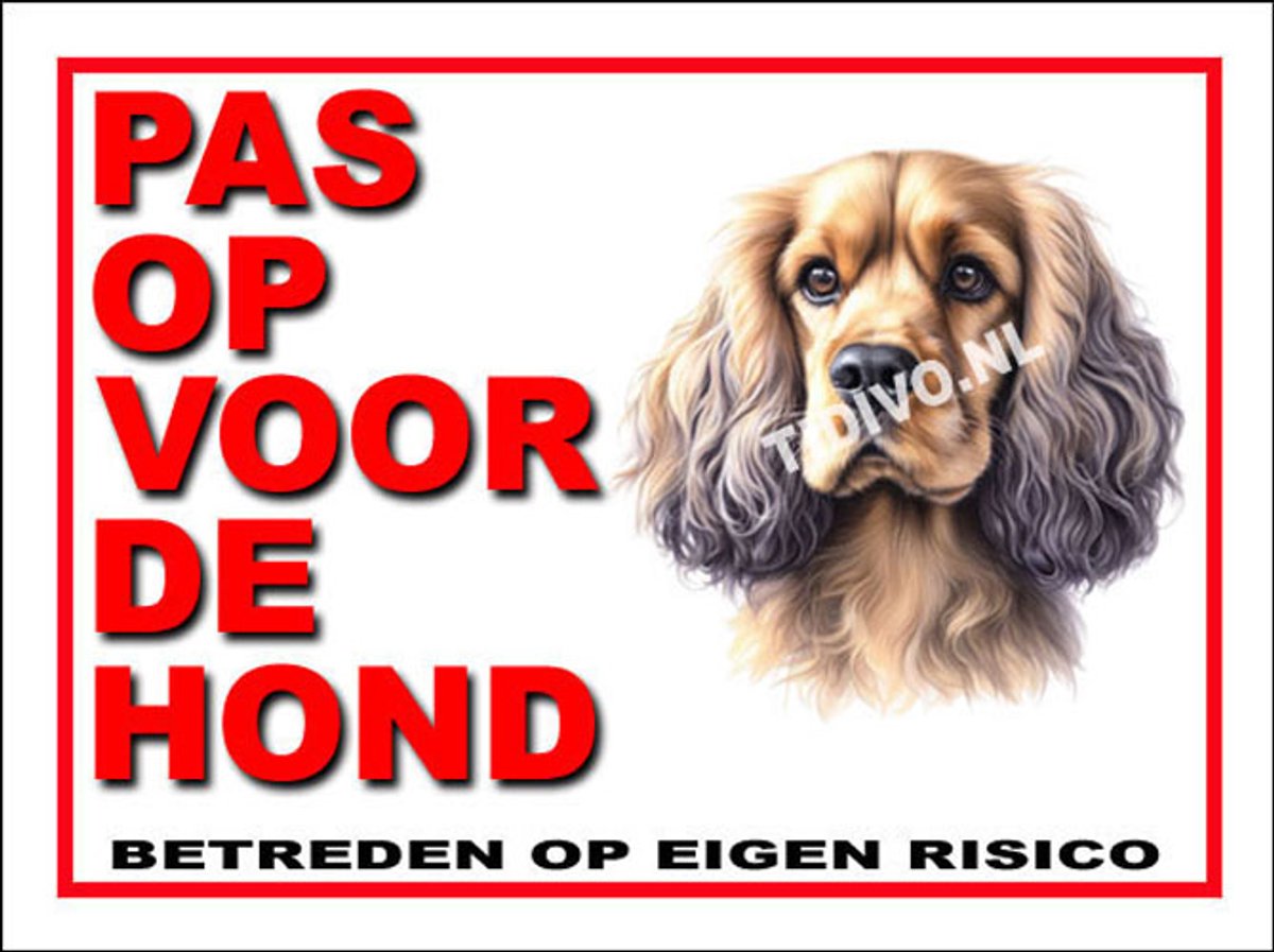 Cocker Spaniel 13
