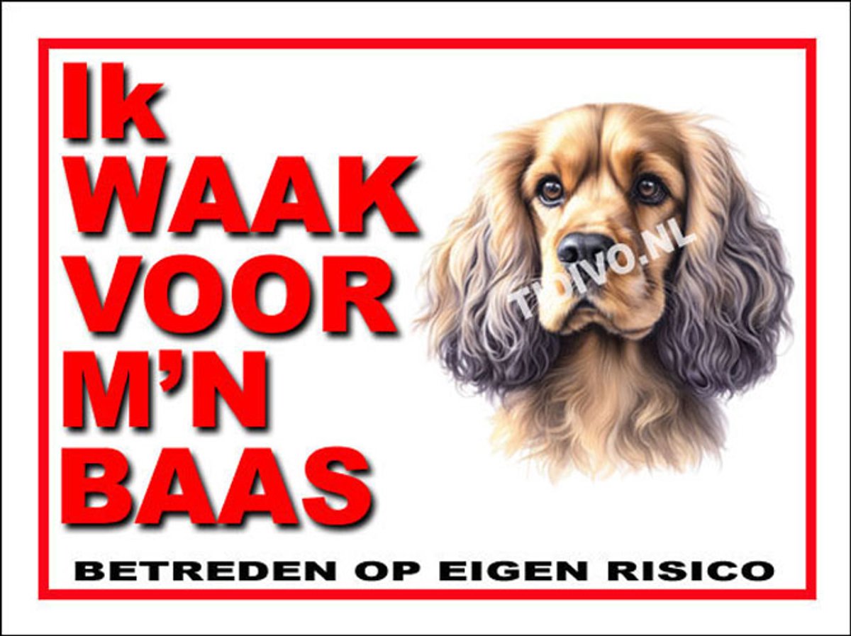 Cocker Spaniel 9