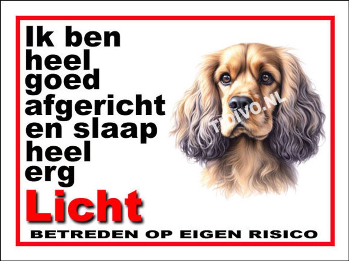 Cocker Spaniel 4