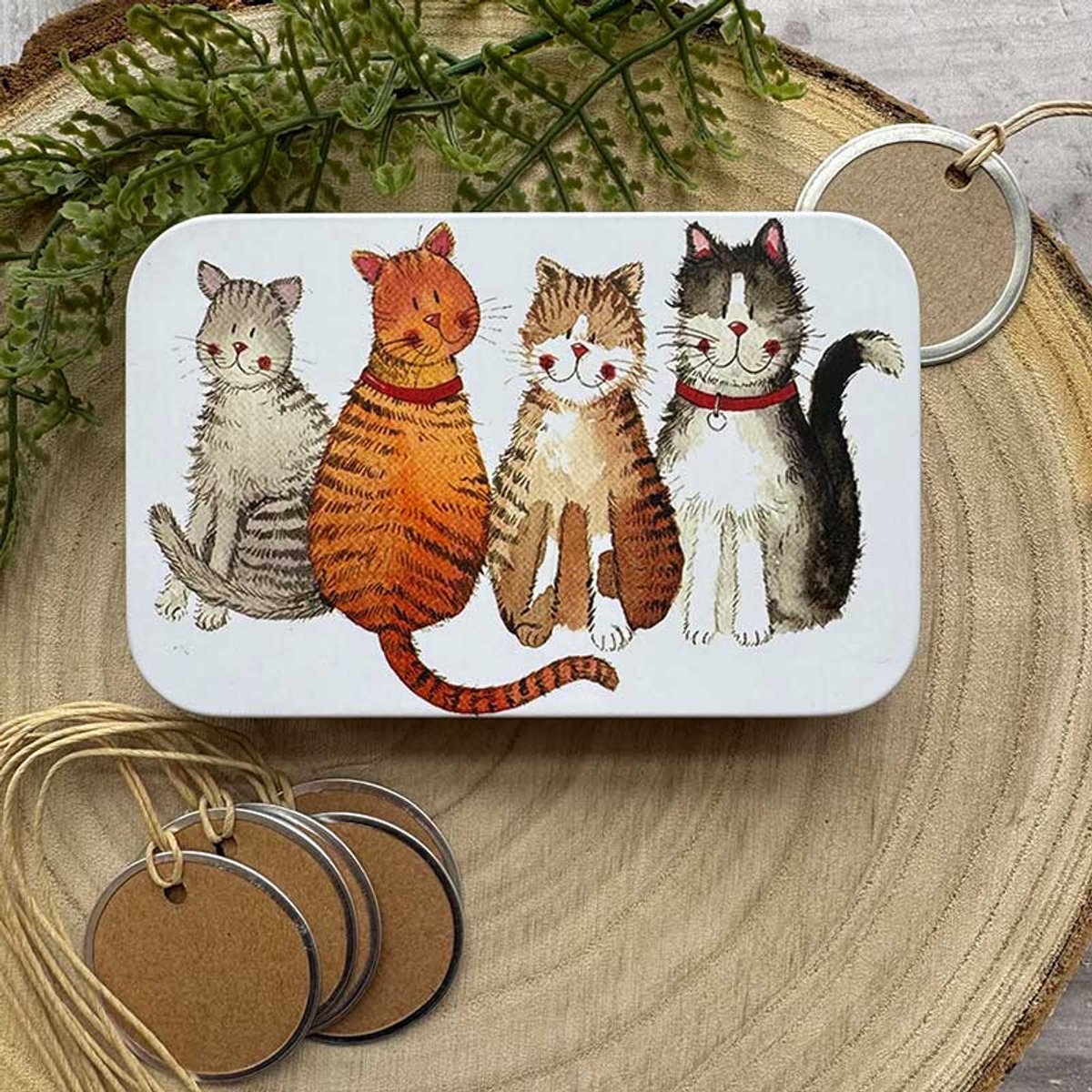 Alex Clark Rectangle Tin Marvellous Moggies ~ Langwerpig opbergblikje katten