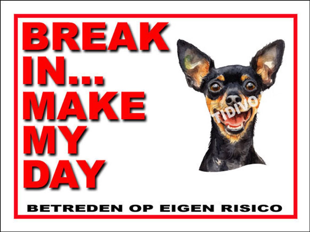 Engelse Toy Terrier 1