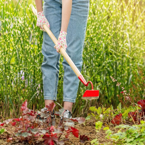 KADAX Hack met metalen kop, tuinhak met steel van hout, trekhaak voor het verwijderen van onkruid, onkruid, tuinaccessoires voor het wieden (trapeziumvorm, lang, rood) van Merkloos	 — afbeelding 4
