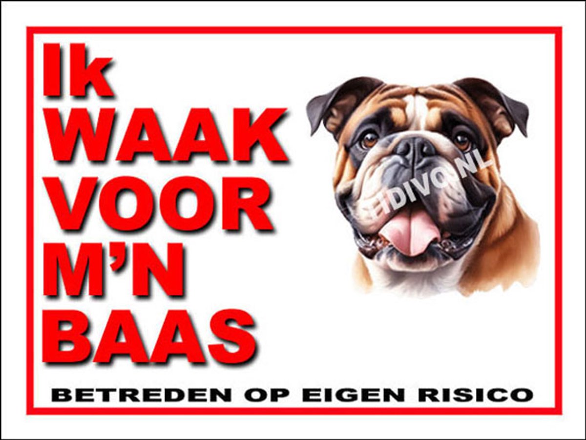 Engelse Bulldog 9