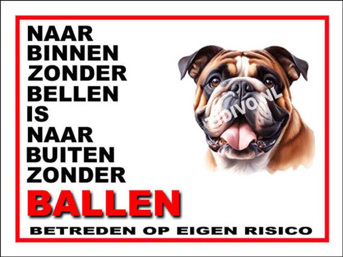 Engelse Bulldog 11