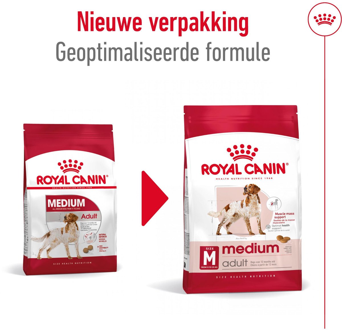 Royal Canin Medium Adult - Voeding voor volwassen middelgrote honden thumbnail 4