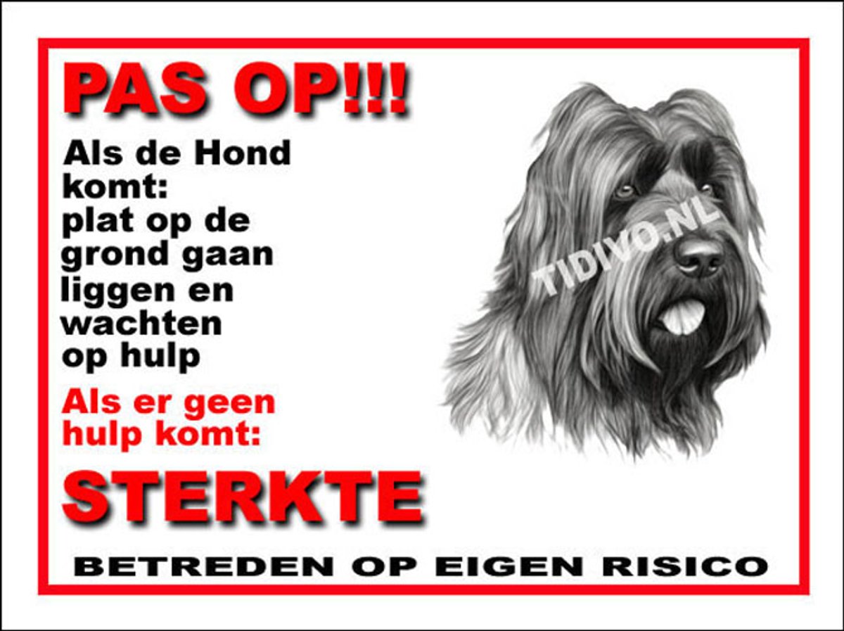 Briard 12