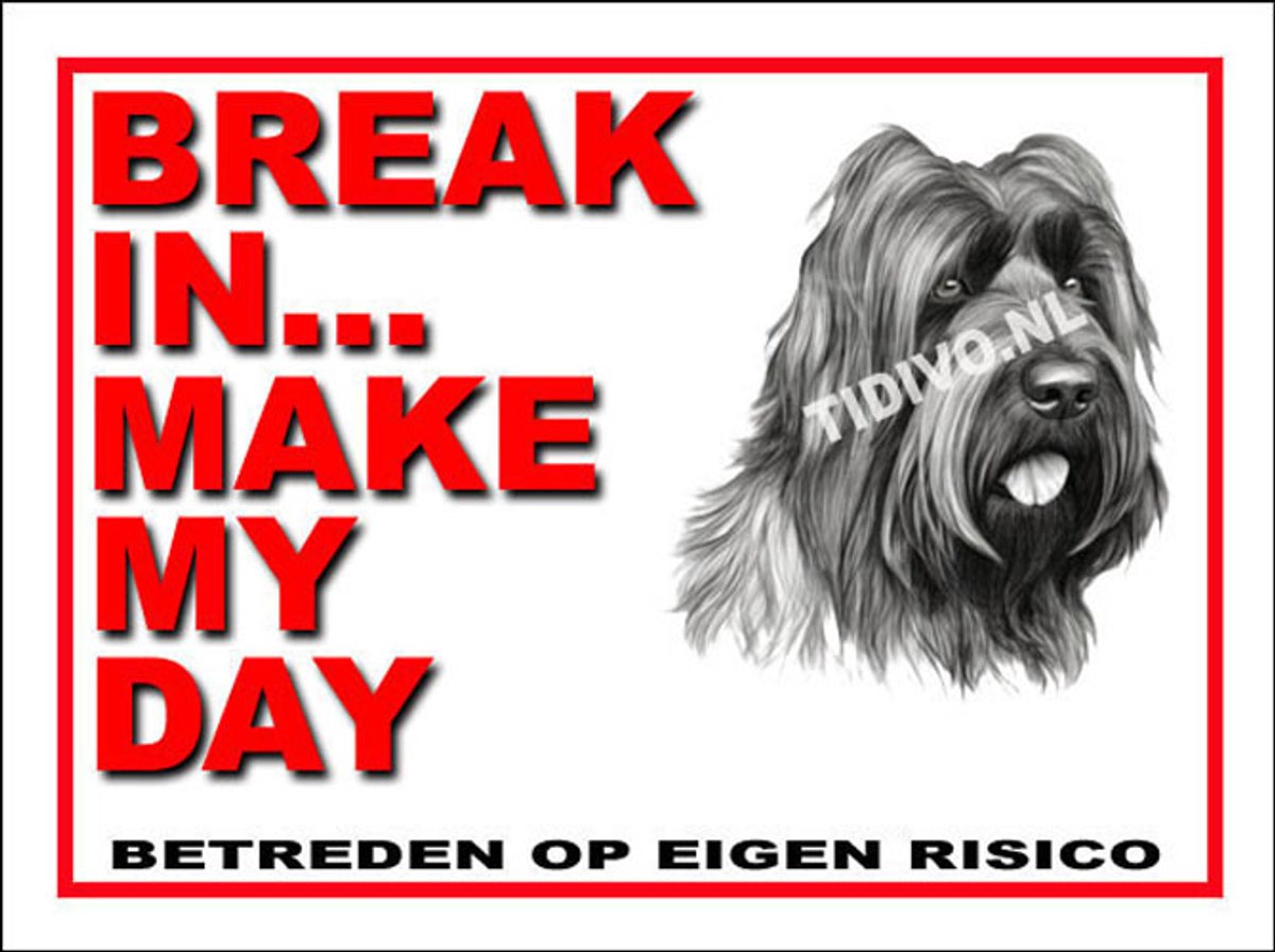 Briard 1