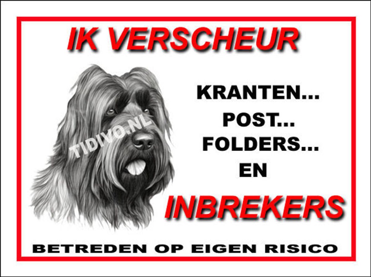 Briard 8
