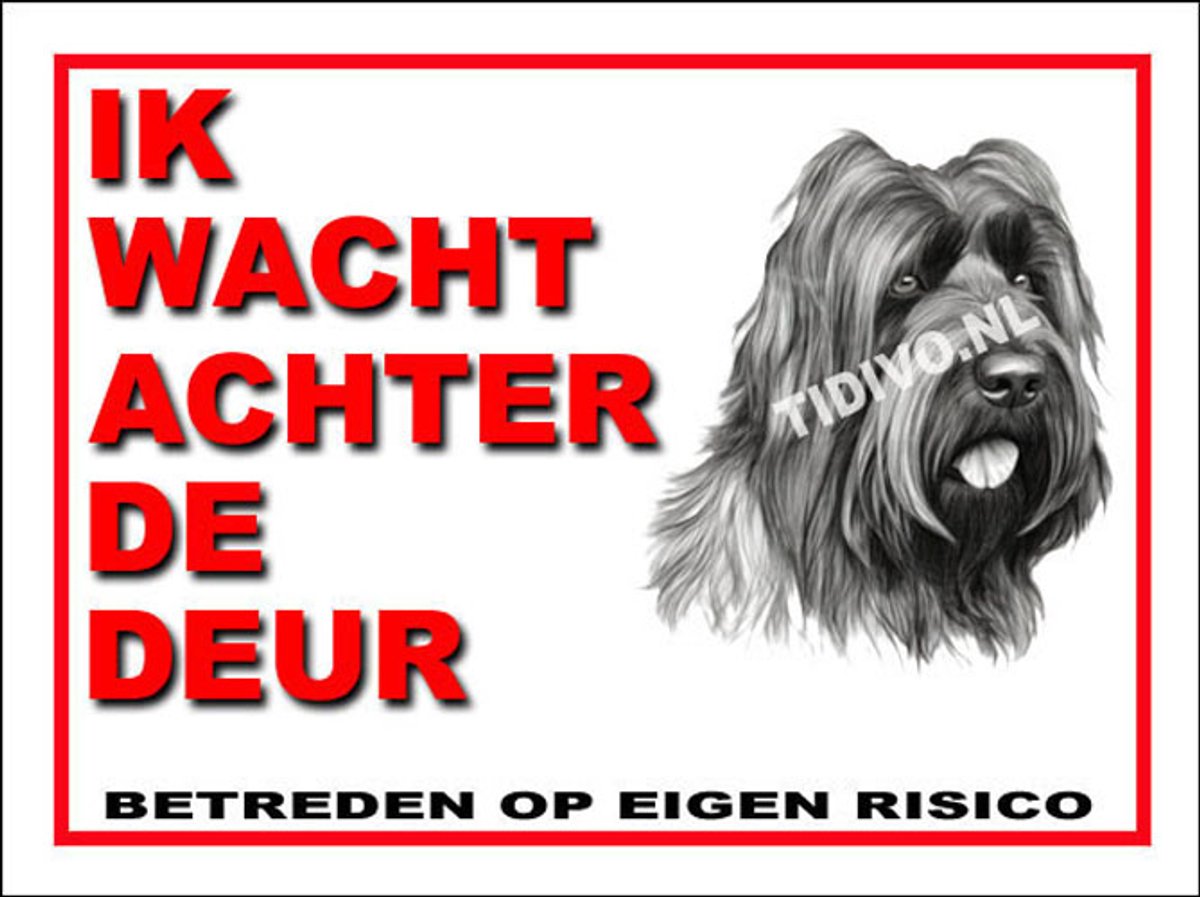 Briard 10