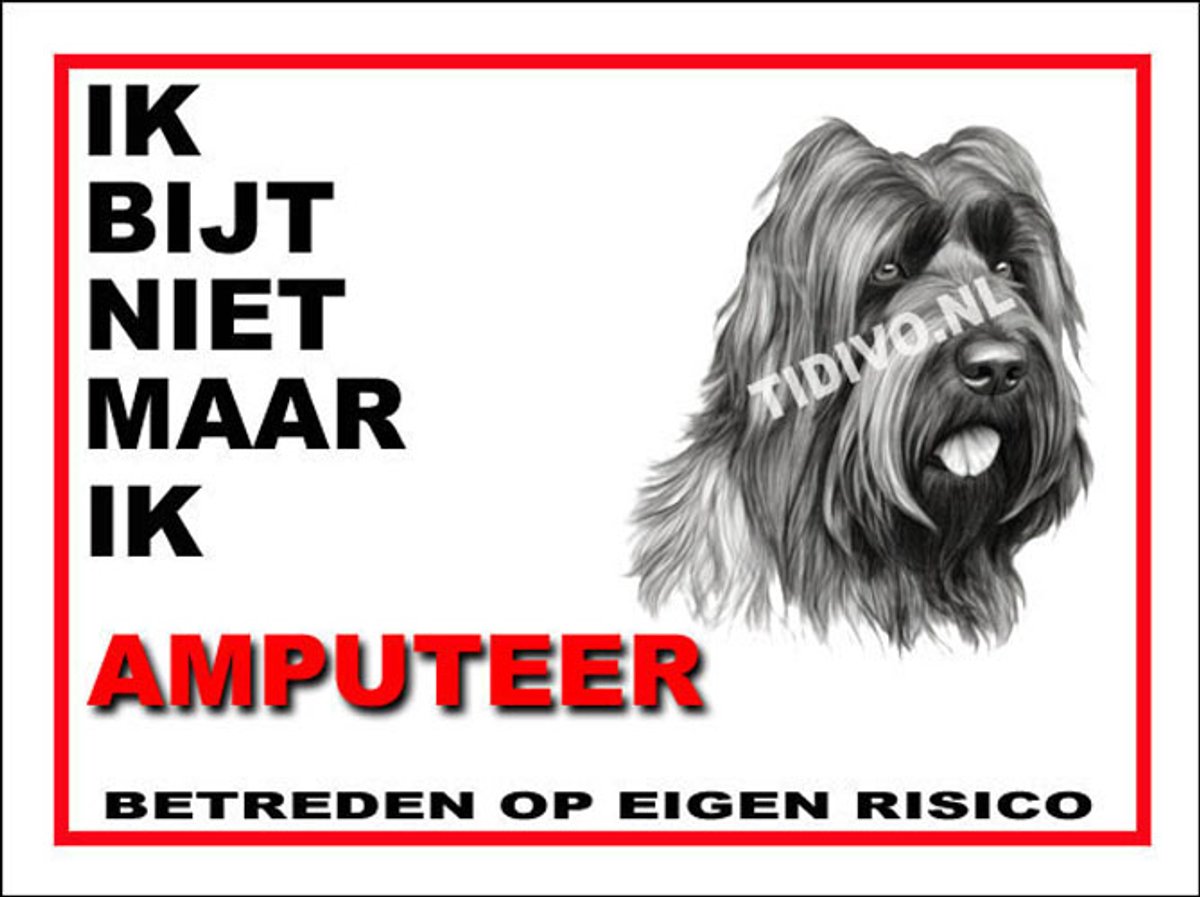 Briard 5