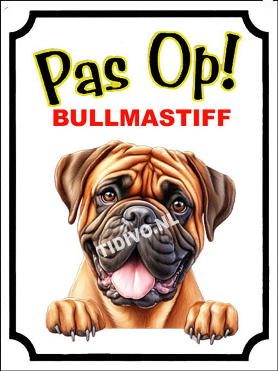 Bullmastiff 16