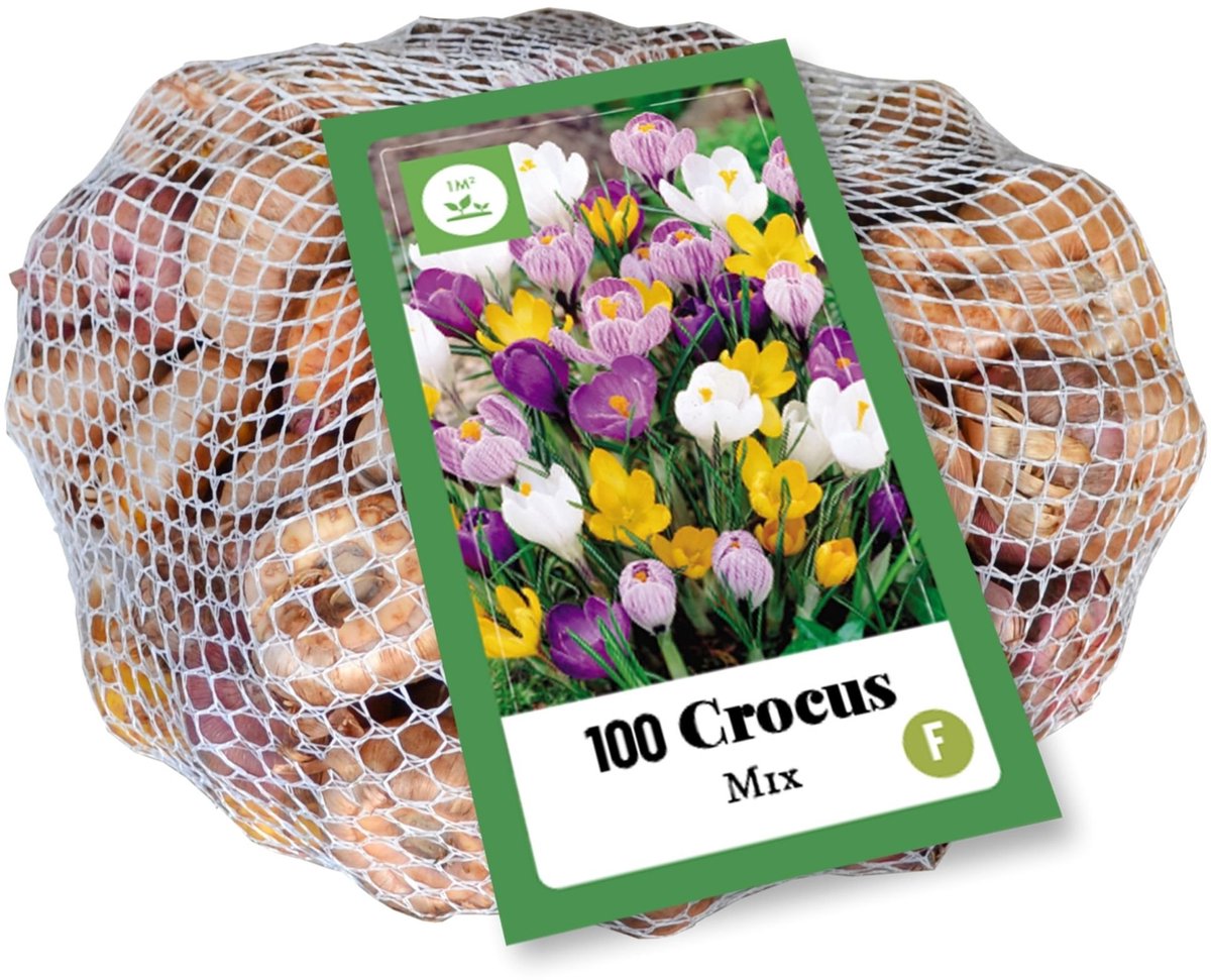 Voorjaarskrokus (Crocus Vernus) - Krokus Grootbloemig Mix - Crocus (XL-verpakking) - Bijen-Vlinders - Voorjaarsbollen - bloeit in Februari / Maart