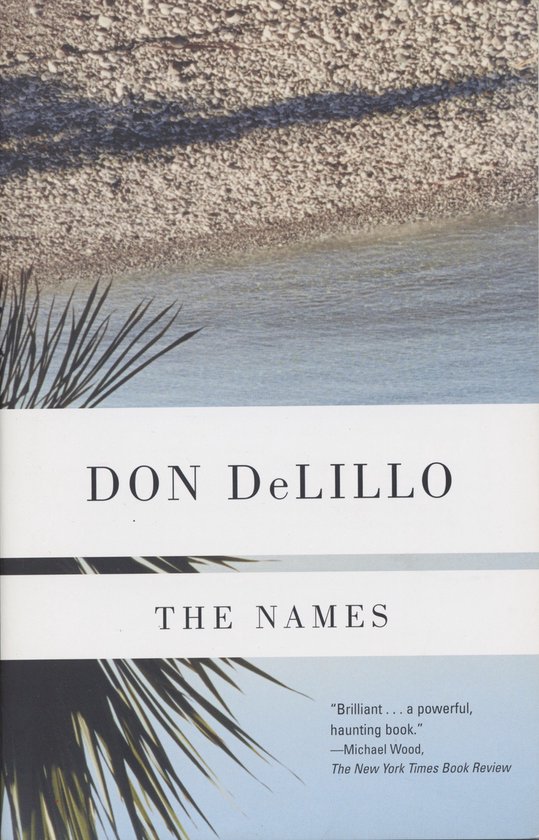 Boekcover van 'The Names' van Don DeLillo, met de titel en naam van de auteur op een witte band over een foto van een kiezelstrand en palmbladeren.