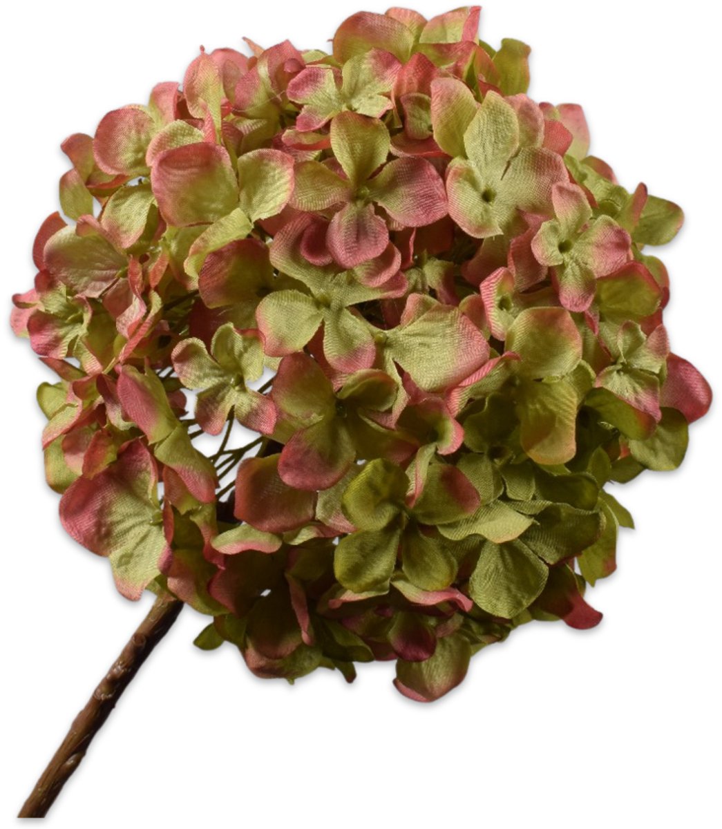 Silk-ka Kunstbloem-Zijden Bloem Hortensia Steel Groen-Roze 70 cm