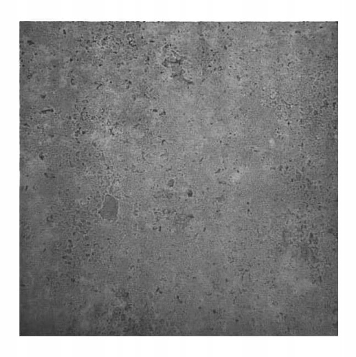Decosa - Wandpaneel - Grafiet - XPS - 50x50 cm