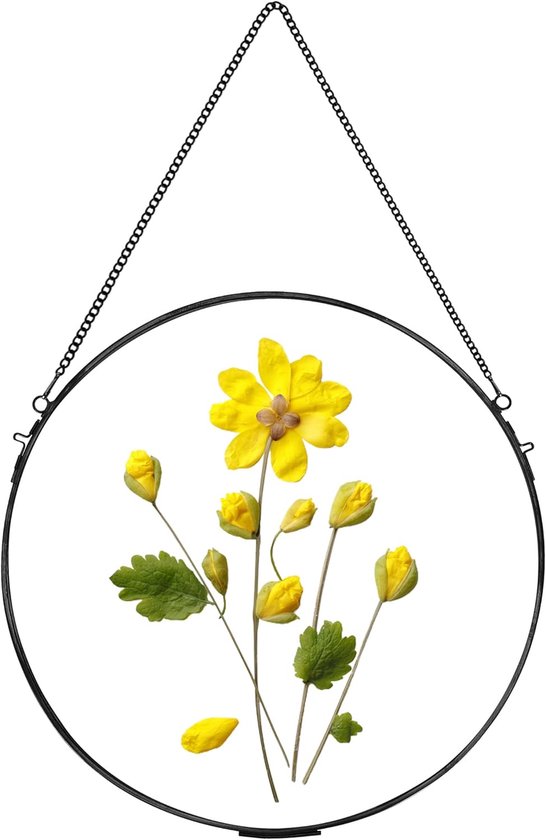 Handgemaakt glazen frame voor gedroogde bloemen - Wanddecoratie - Rond ...