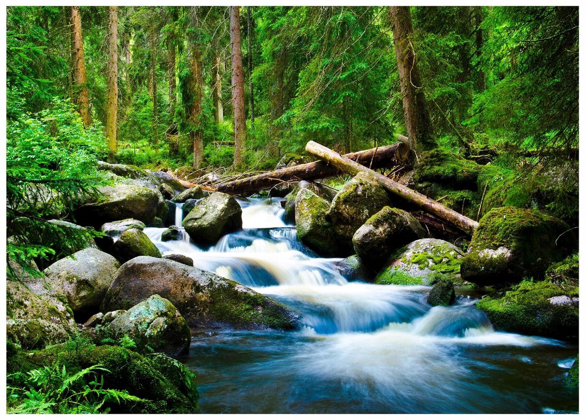 WALLARENA - Fotobehang - 400x280 cm - 3D waterval bos natuur voor slaapkamer woonkamer wandtapijt